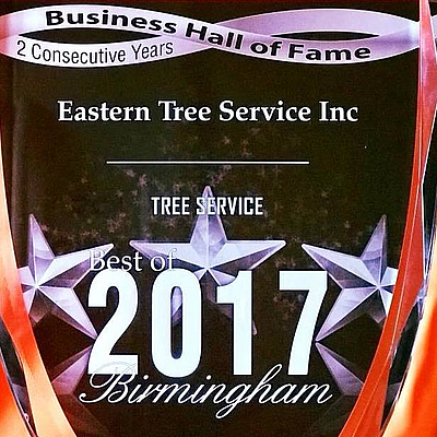 Eastern Tree Service Inc - Birmingham | Local Services | Logo
