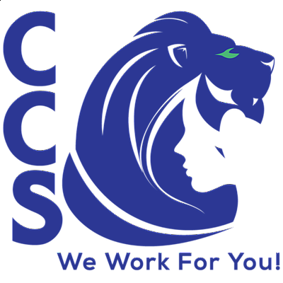 Custom Construction Services LLC - colorado springs | Contractors & Supplies | Logo