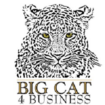 Big Cat 4 Business - Brookfield | Banking & Financial | Logo