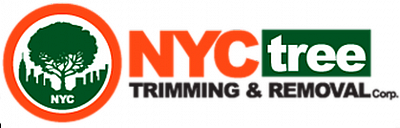 NYC Tree Trimming & Removal Corp. - New York | Local Services | Logo