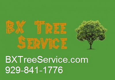 BX Tree Service - Bronx | Local Services | Logo