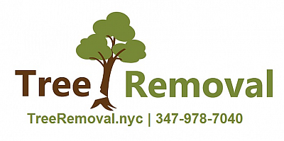 Tree Removal NYC - Bronx | Local Services | Logo