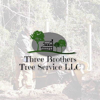 Three Brothers Tree Service, LLC - Dade City | Contractors & Supplies | Logo