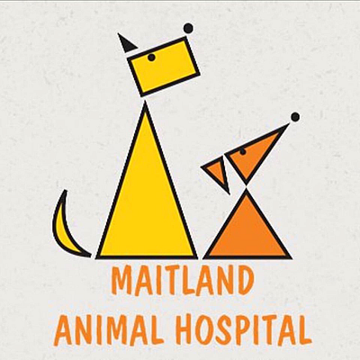 Maitland Animal Hospital - Maitland | Pets | Logo
