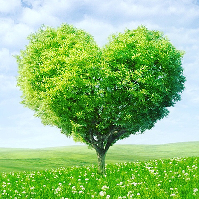 Next Level Tree Service, LLC - GLENDALE | Venues | Logo