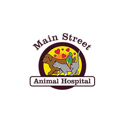 Main Street Animal Hospital, A Thrive Pet Healthcare Partner - Salem | Professional Services | Logo
