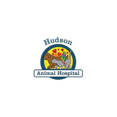Hudson Animal Hospital, A Thrive Pet Healthcare Partner - Hudson | Professional Services | Logo