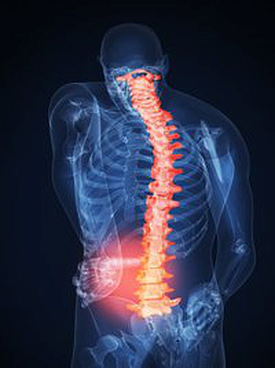 Florida Chiropractic & Sports Rehab - Fort Lauderdale | Doctors & Clinics | Logo
