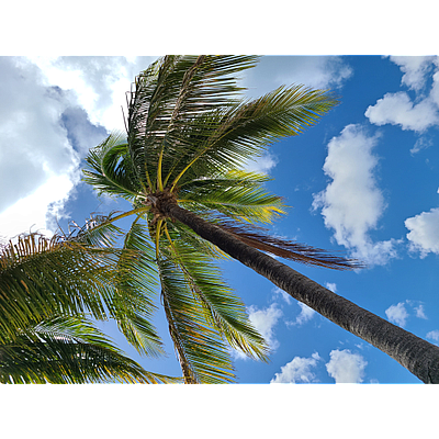 Blue Ocean Beach Travel - Bardstown | Hotels & Travel | Logo