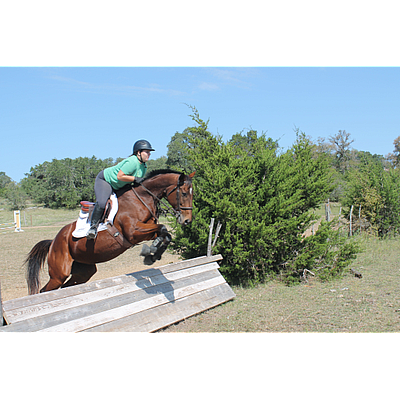 Sunny Fox Farms LLC - Buda | Attractions | Logo