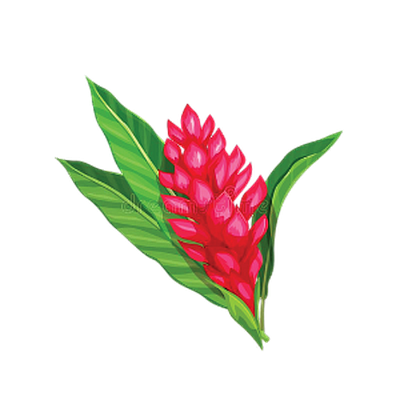 OCI Polynesian Store - Garden Grove | Food Retail & Grocery | Logo