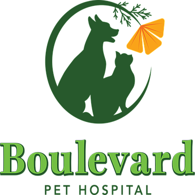 Beaumont Animal Hospital - Beaumont | Professional Services | Logo