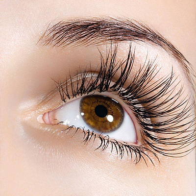 Bloom Lash - New York | Beauty & Spas | Logo